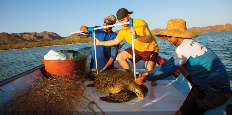 Arizona State University - Intro to Marine Science